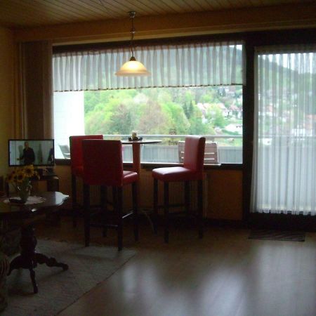 Ferien Penthouse Panoramablick Oder Studio Panoramablick Bad Grund Εξωτερικό φωτογραφία