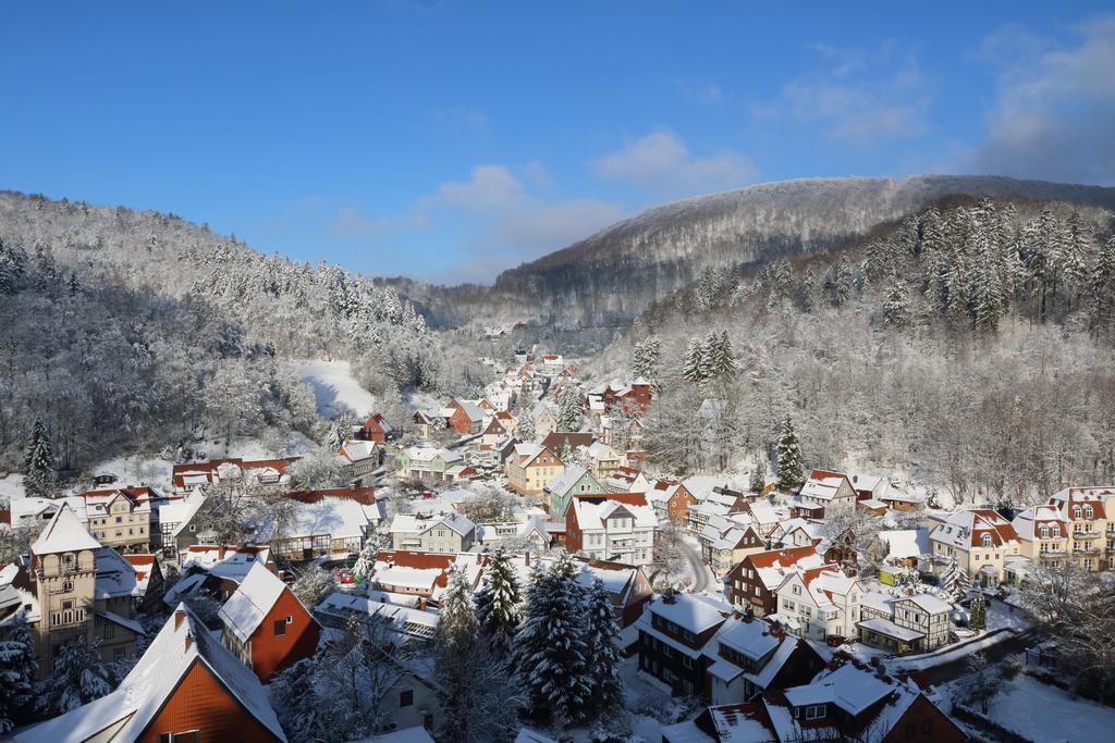 Ferien Penthouse Panoramablick Oder Studio Panoramablick Bad Grund Εξωτερικό φωτογραφία