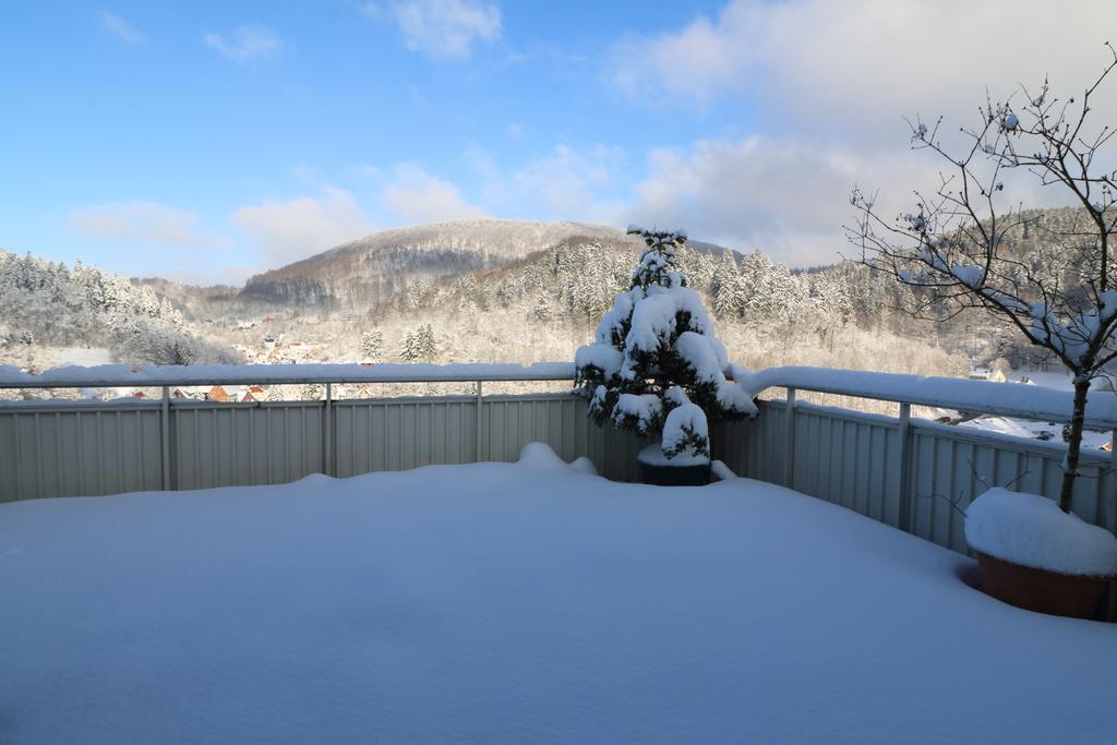 Ferien Penthouse Panoramablick Oder Studio Panoramablick Bad Grund Εξωτερικό φωτογραφία