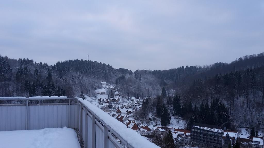 Ferien Penthouse Panoramablick Oder Studio Panoramablick Bad Grund Εξωτερικό φωτογραφία