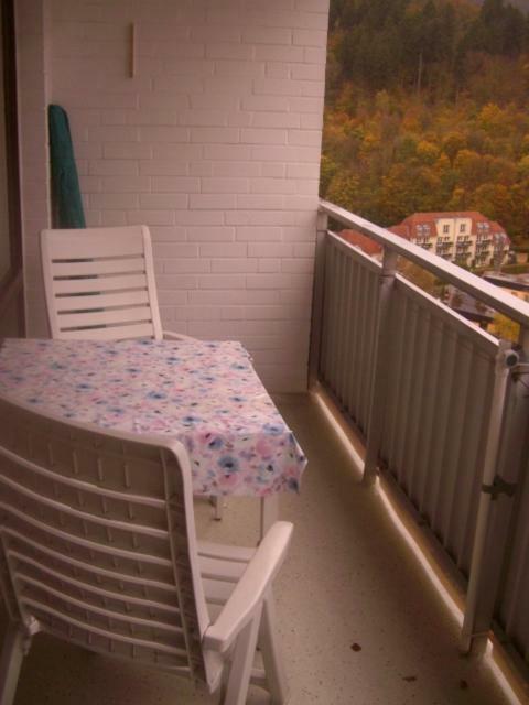 Ferien Penthouse Panoramablick Oder Studio Panoramablick Bad Grund Εξωτερικό φωτογραφία