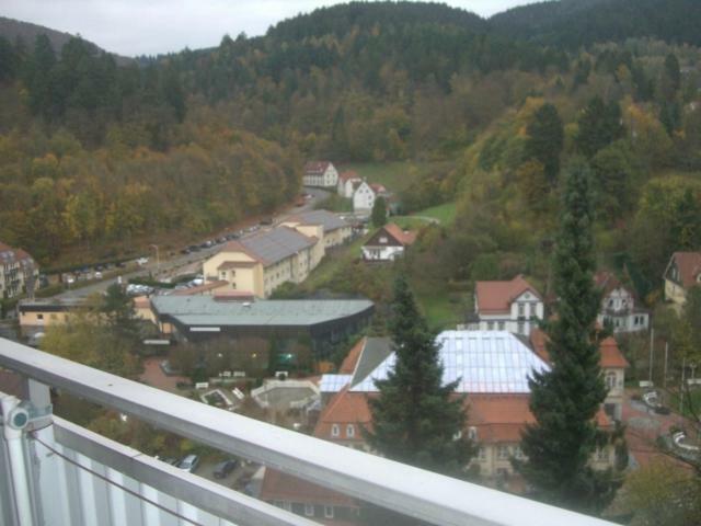 Ferien Penthouse Panoramablick Oder Studio Panoramablick Bad Grund Εξωτερικό φωτογραφία