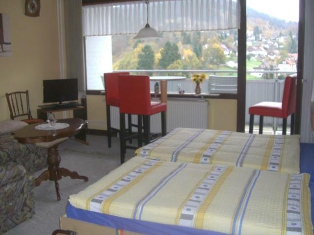 Ferien Penthouse Panoramablick Oder Studio Panoramablick Bad Grund Εξωτερικό φωτογραφία