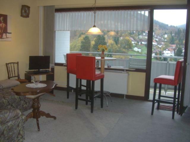 Ferien Penthouse Panoramablick Oder Studio Panoramablick Bad Grund Εξωτερικό φωτογραφία