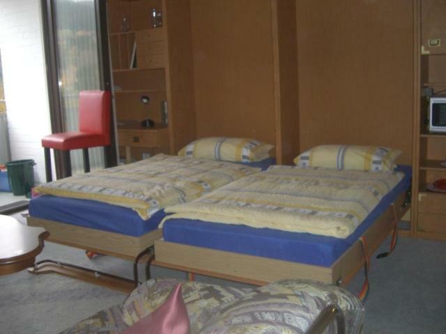 Ferien Penthouse Panoramablick Oder Studio Panoramablick Bad Grund Εξωτερικό φωτογραφία