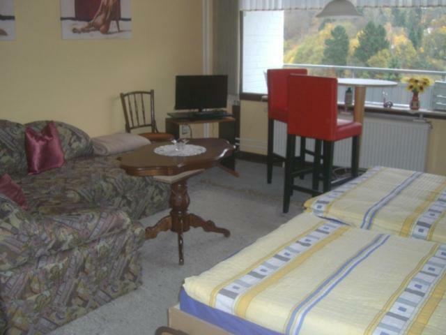 Ferien Penthouse Panoramablick Oder Studio Panoramablick Bad Grund Εξωτερικό φωτογραφία