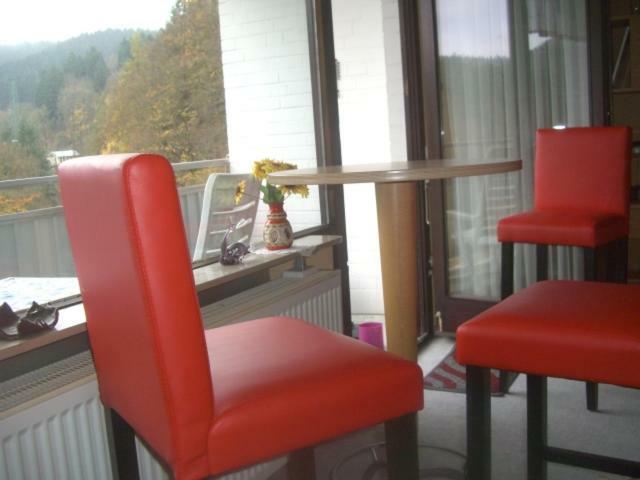Ferien Penthouse Panoramablick Oder Studio Panoramablick Bad Grund Εξωτερικό φωτογραφία