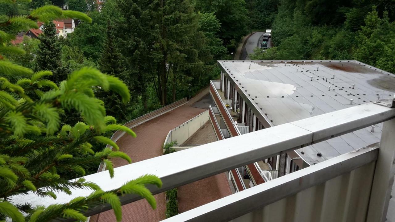 Ferien Penthouse Panoramablick Oder Studio Panoramablick Bad Grund Εξωτερικό φωτογραφία