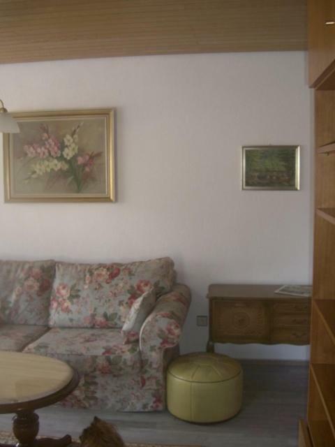 Ferien Penthouse Panoramablick Oder Studio Panoramablick Bad Grund Εξωτερικό φωτογραφία