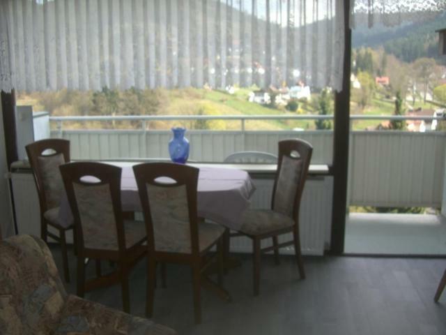 Ferien Penthouse Panoramablick Oder Studio Panoramablick Bad Grund Εξωτερικό φωτογραφία