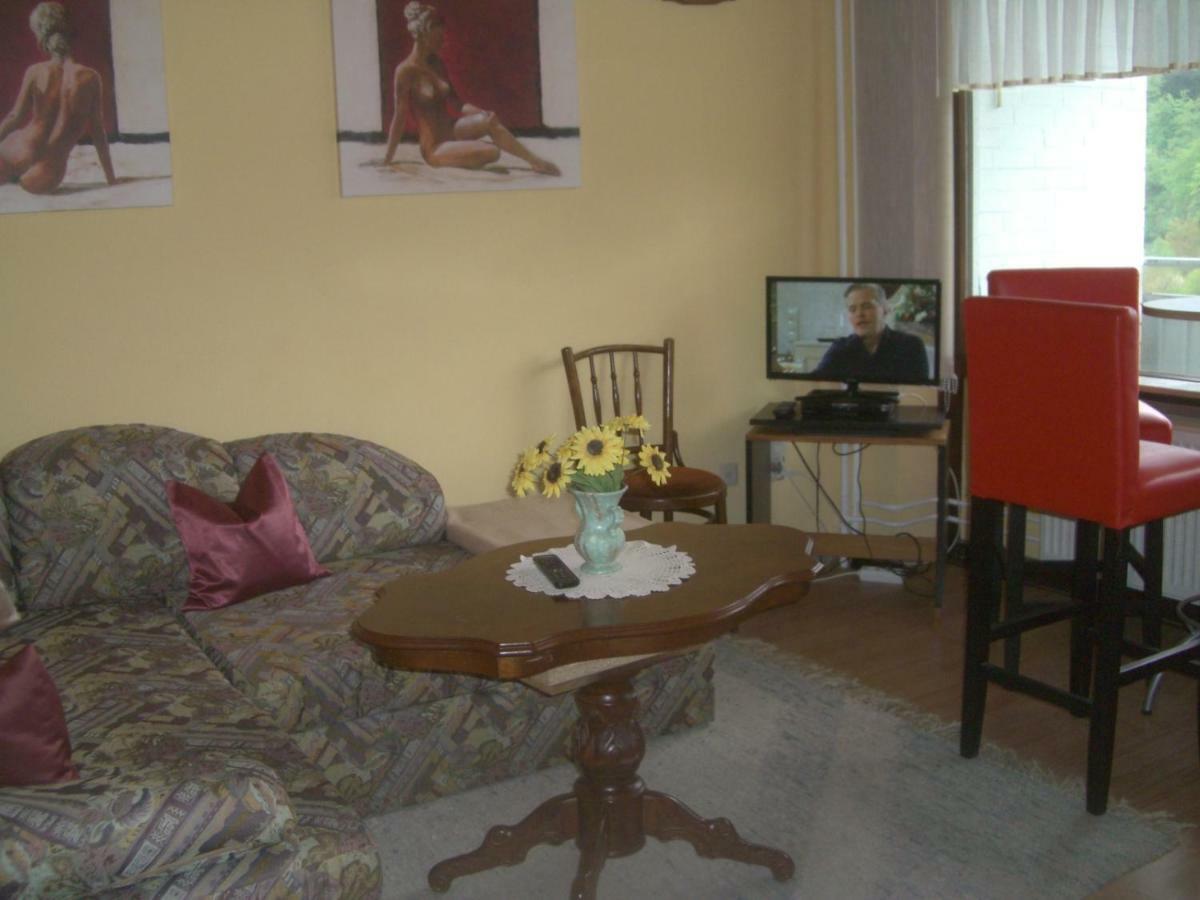 Ferien Penthouse Panoramablick Oder Studio Panoramablick Bad Grund Εξωτερικό φωτογραφία