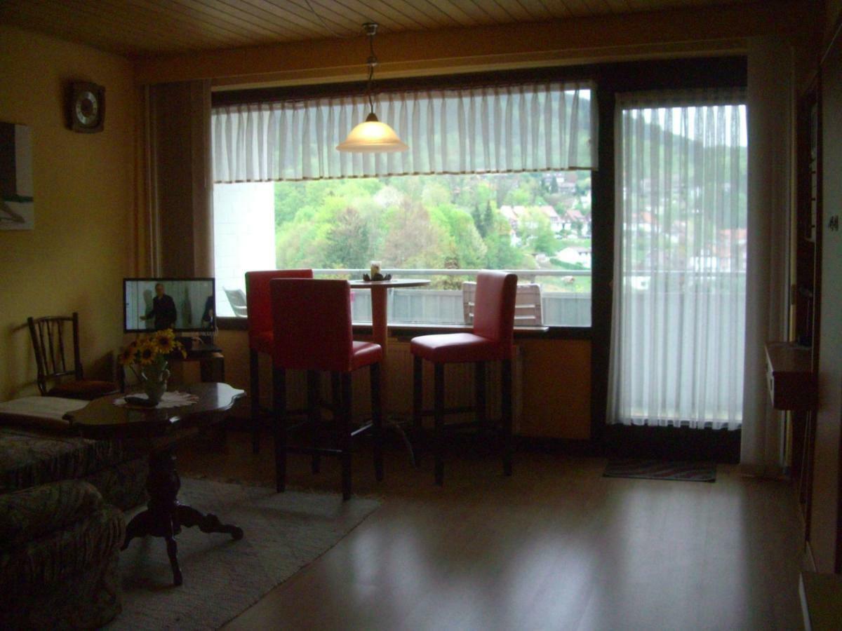 Ferien Penthouse Panoramablick Oder Studio Panoramablick Bad Grund Εξωτερικό φωτογραφία