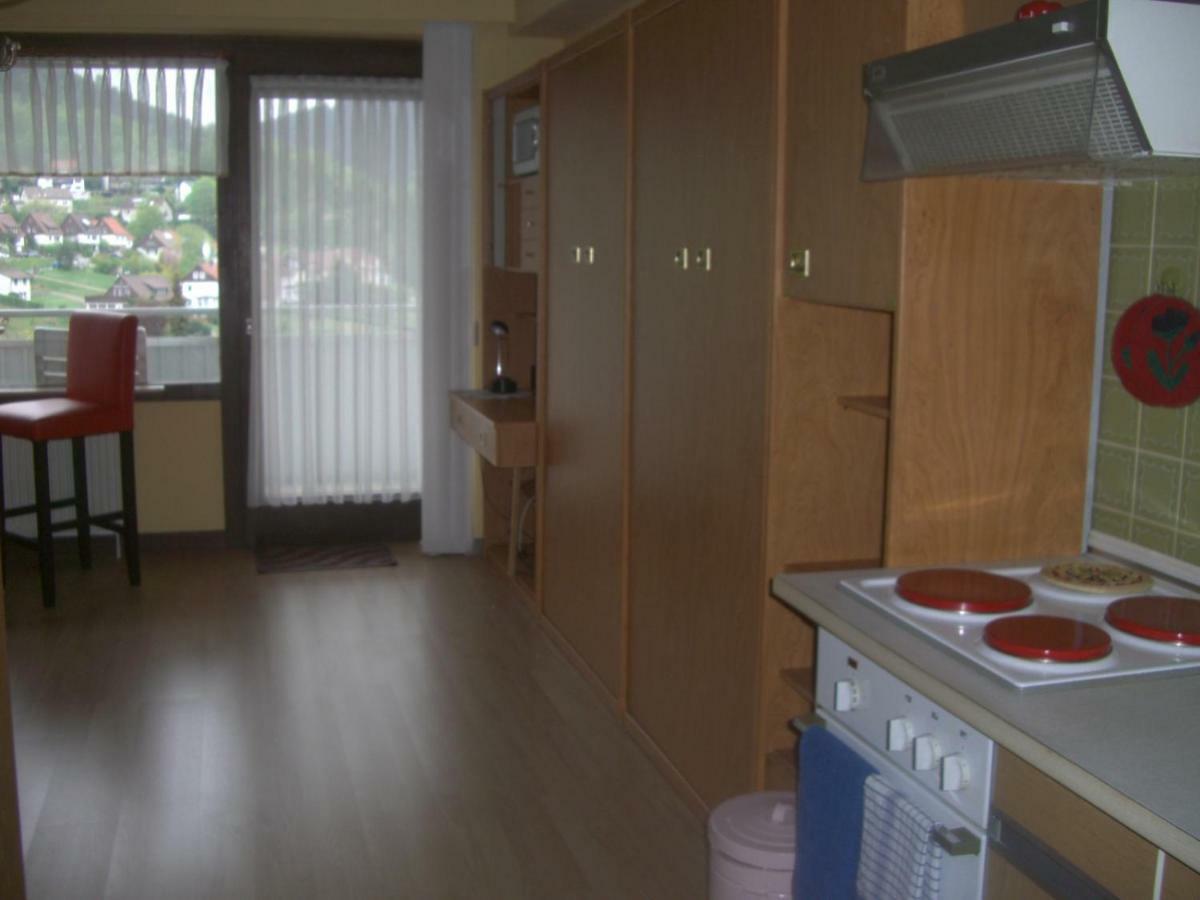 Ferien Penthouse Panoramablick Oder Studio Panoramablick Bad Grund Εξωτερικό φωτογραφία
