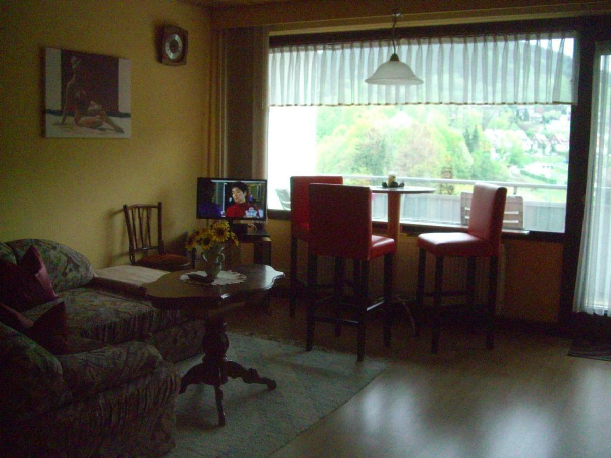 Ferien Penthouse Panoramablick Oder Studio Panoramablick Bad Grund Εξωτερικό φωτογραφία